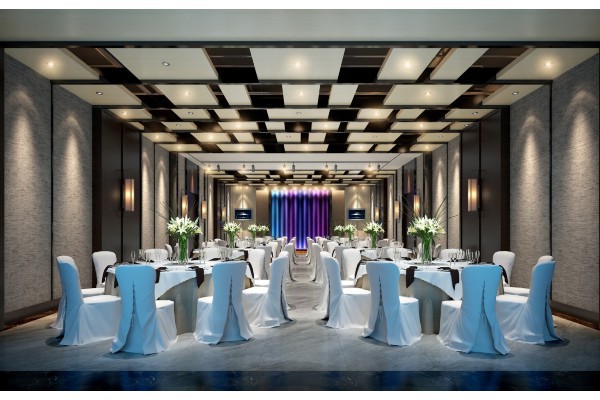 成都夜市养生烤生蚝，休闲新选择(成都烤生蚝哪里便宜)